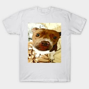 Sweet Pibble Face T-Shirt